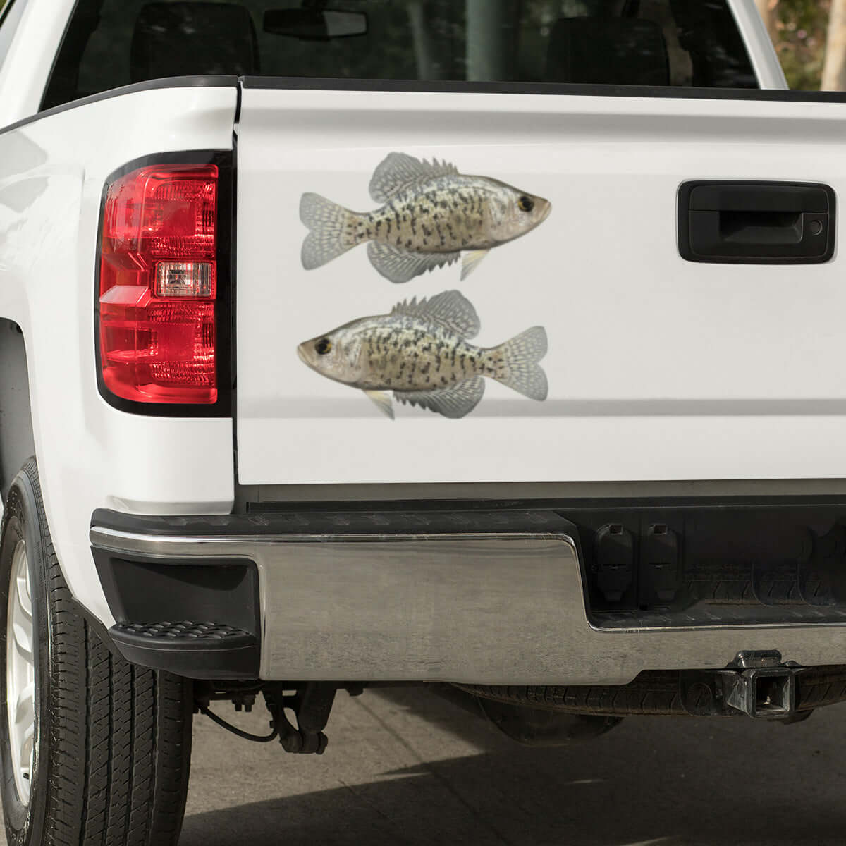 Crappie large decals on a pickup truck.