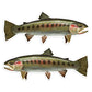 Cutthroat Trout 8 inch stickers left and right facing.