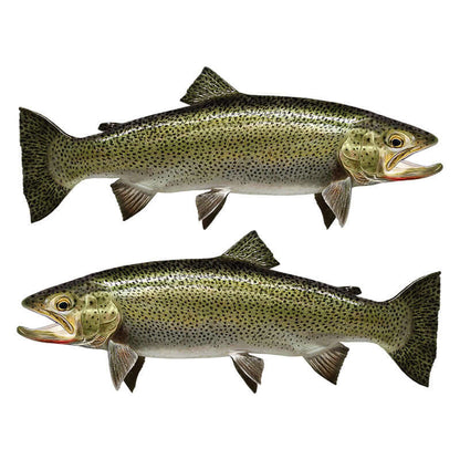 Coastal Cutthroat Trout fish wall decals 40 to 70 inches in size