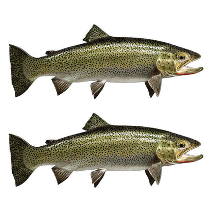 Coastal cutthroat trout fish wall decals facing opposite directions.