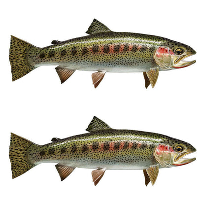 Cutthroat Trout fish wall stickers showing left and right facing designs, customizable and removable, perfect for fish enthusiasts