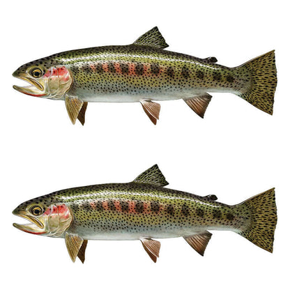 Cutthroat Trout wall decals, customizable fish wall stickers with detailed design, ideal for fish enthusiasts and unique decor.