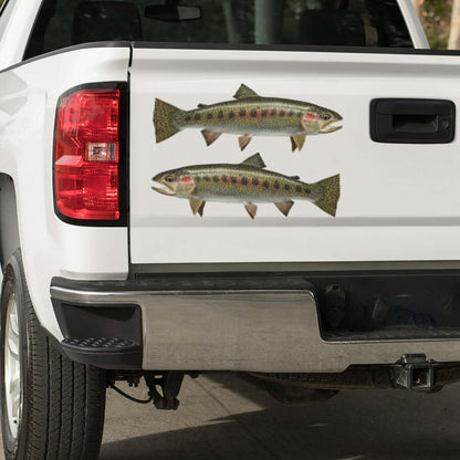 Cutthroat Trout large decals on a pickup truck.