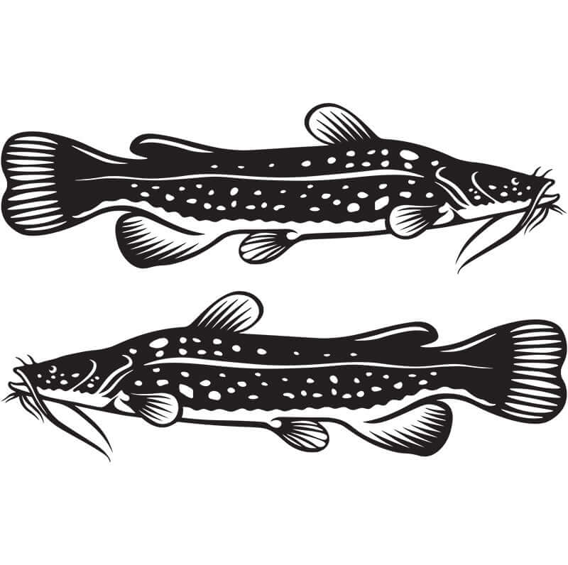 Flathead Catfish decals in black vinyl, perfect fishing stickers for boats or cars, featuring left and right facing fish designs.