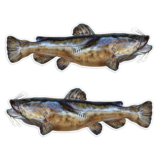 Flathead Catfish 14 inch stickers left and right facing.