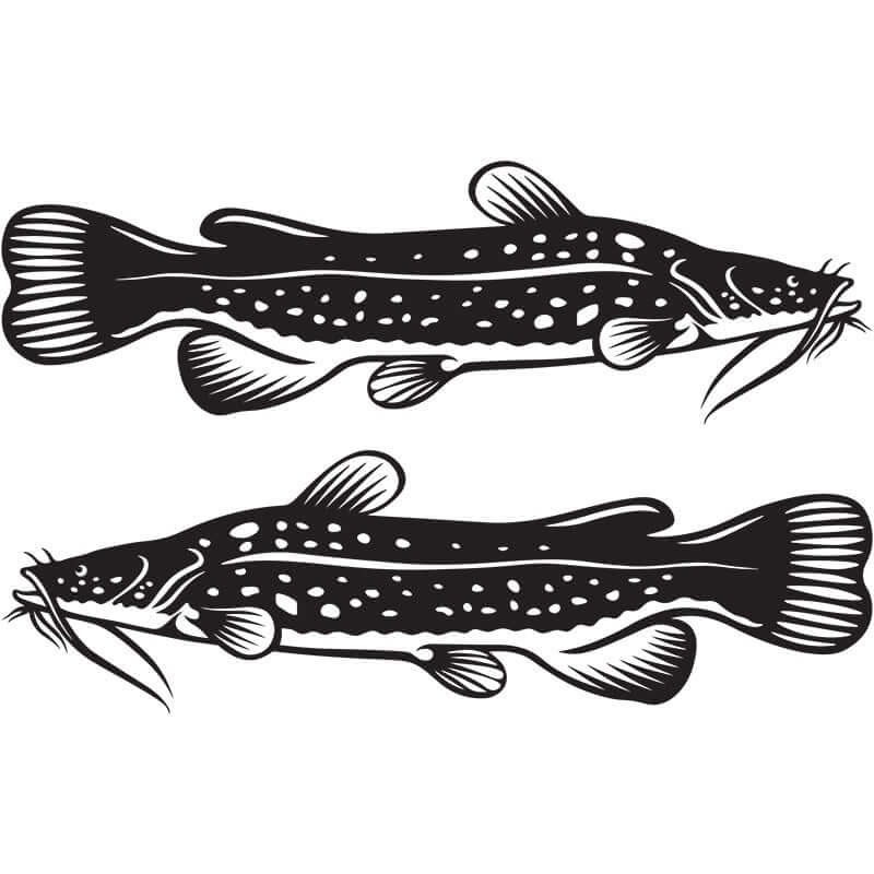 Flathead Catfish wall decals in black and white for fish enthusiasts.