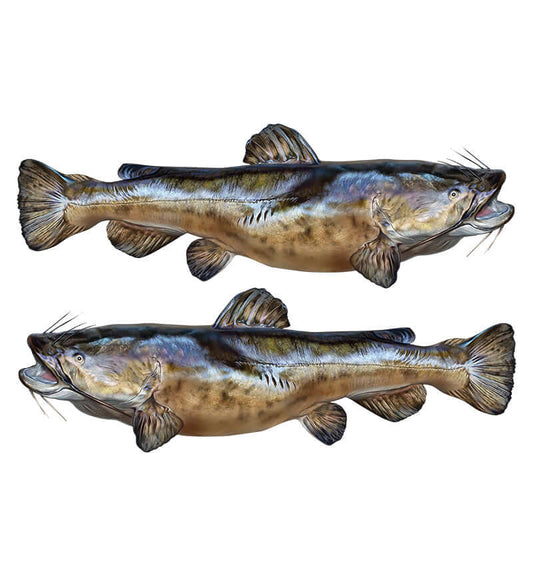 Flathead Catfish decals left and right facing.