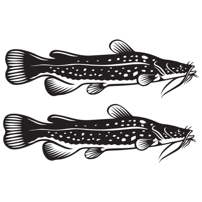 Flathead Catfish decals in black vinyl for cars, perfect fishing vinyl stickers for vehicles and boats, marine grade waterproof.