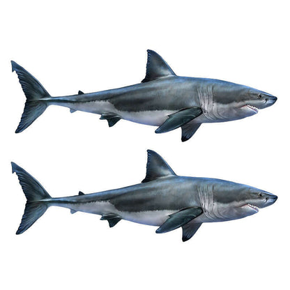 Great White Shark decals right facing x 2.