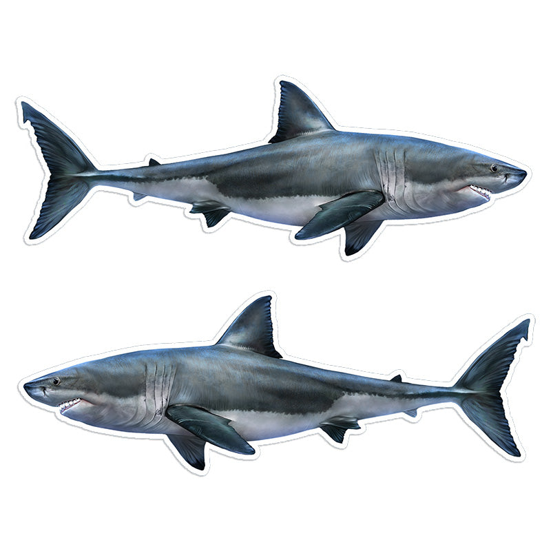 Great White Shark 14 inch stickers left and right facing.