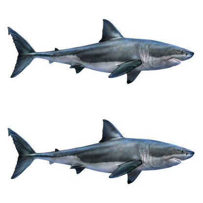 Great White Shark fish wall decals for bedroom, removable and customizable, left and right facing designs.