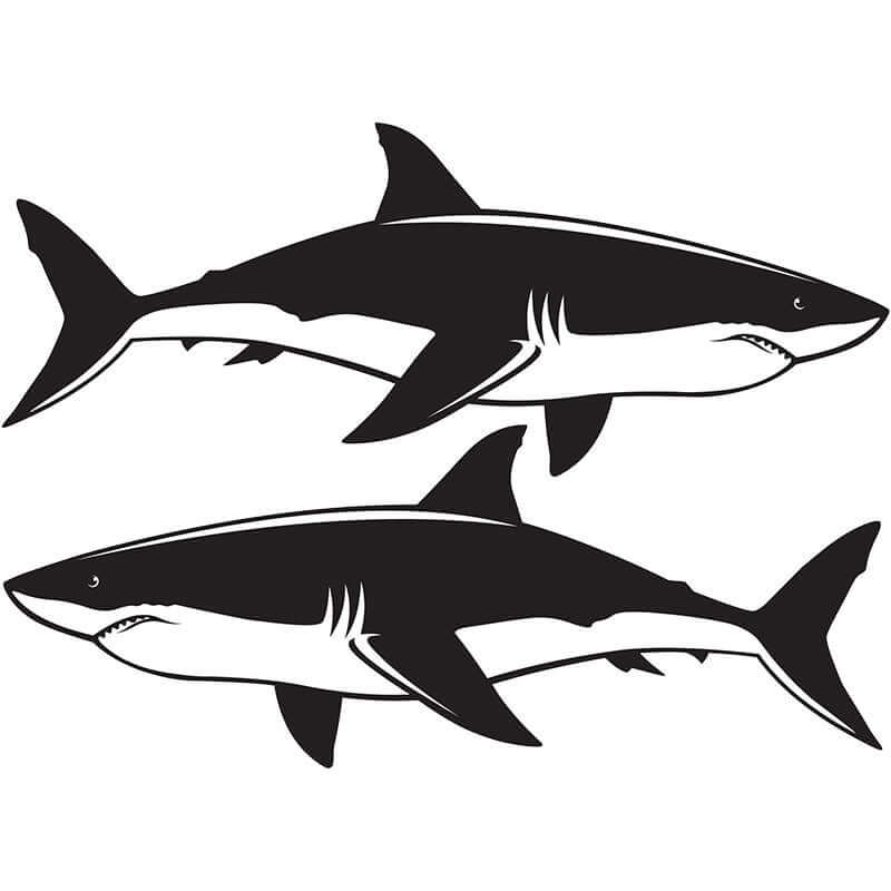 Great White Shark wall decals in black and white, customizable fish wall decals for home decor, 40"-70" size options, left and right facing