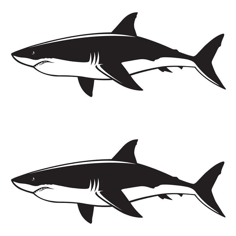 Great white shark fish wall stickers in black and white, left and right facing options