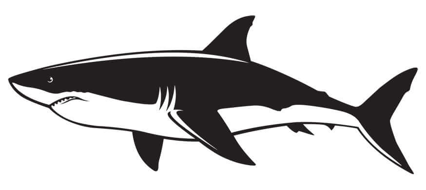 Great White Shark Wall Decal in Matte Black