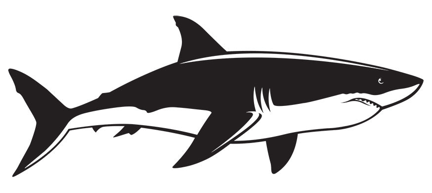 Great White Shark Decals decals right facing x 2.