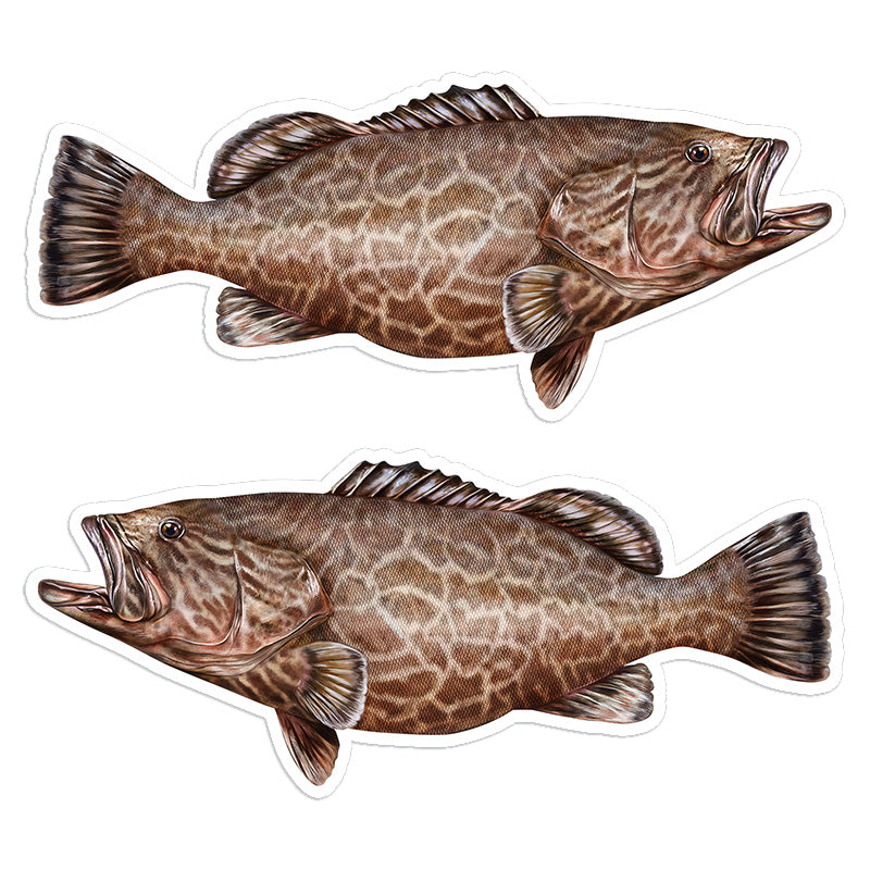 Grouper 8 inch stickers left and right facing.