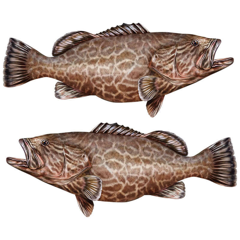 Black Grouper fish wall decals in left and right facing orientations