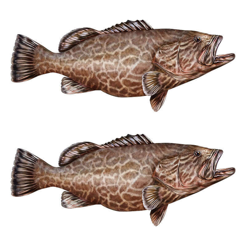 Customisable black grouper fish wall decals, 40"-70", perfect for fish enthusiasts. Large fish wall decor with text options.