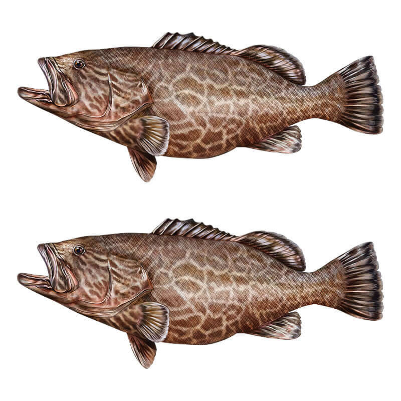 Black Grouper fish wall decals for home decor, removable and non-damaging.