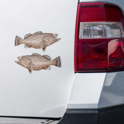 Grouper stickers on a truck.