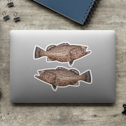 Grouper stickers on a laptop.