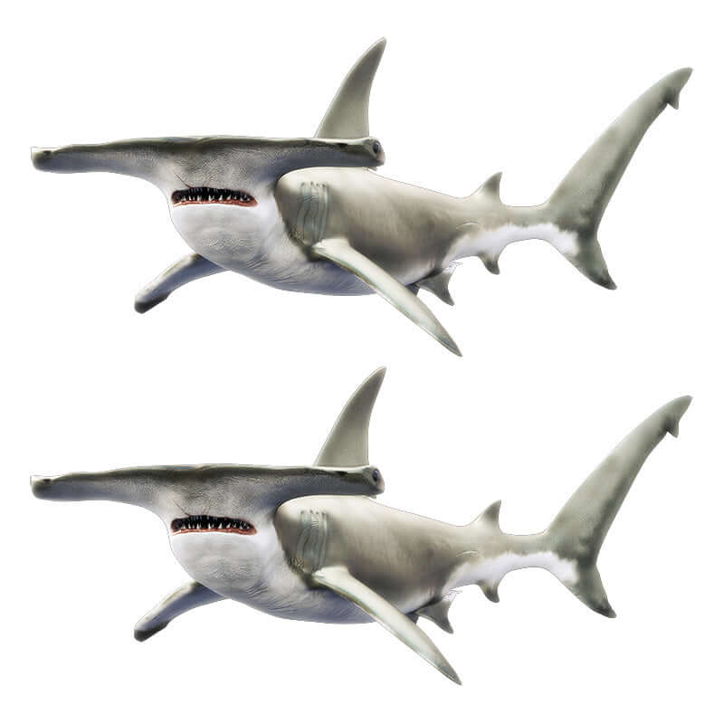 Hammerhead Shark Wall Decals