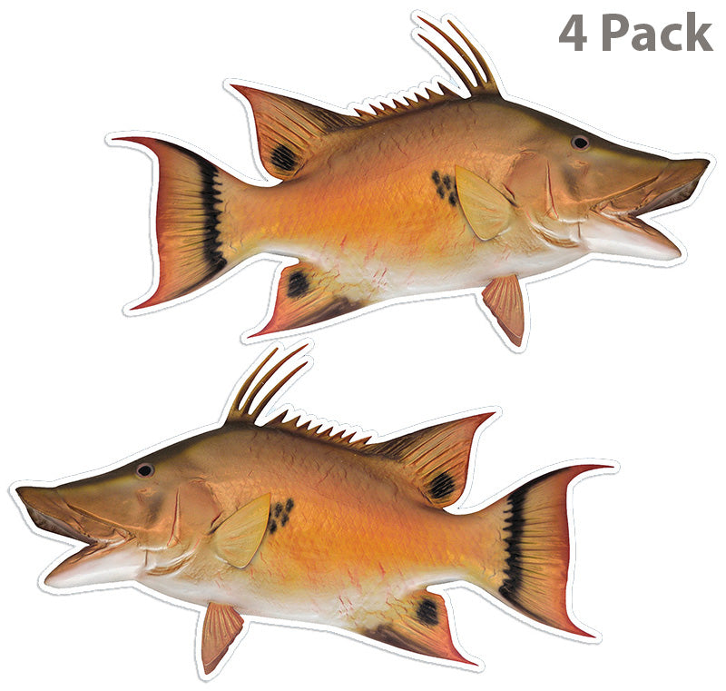Hogfish 14 inch 4 sticker pack.
