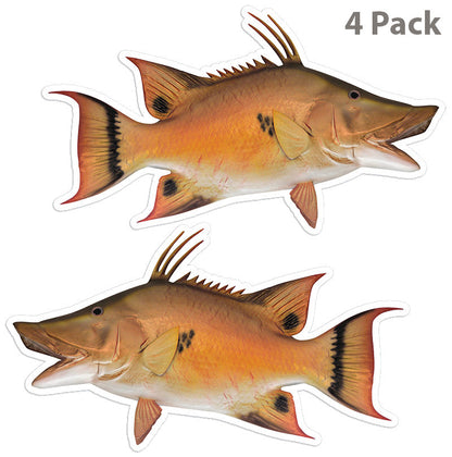 Hogfish 8 inch 4 sticker pack.