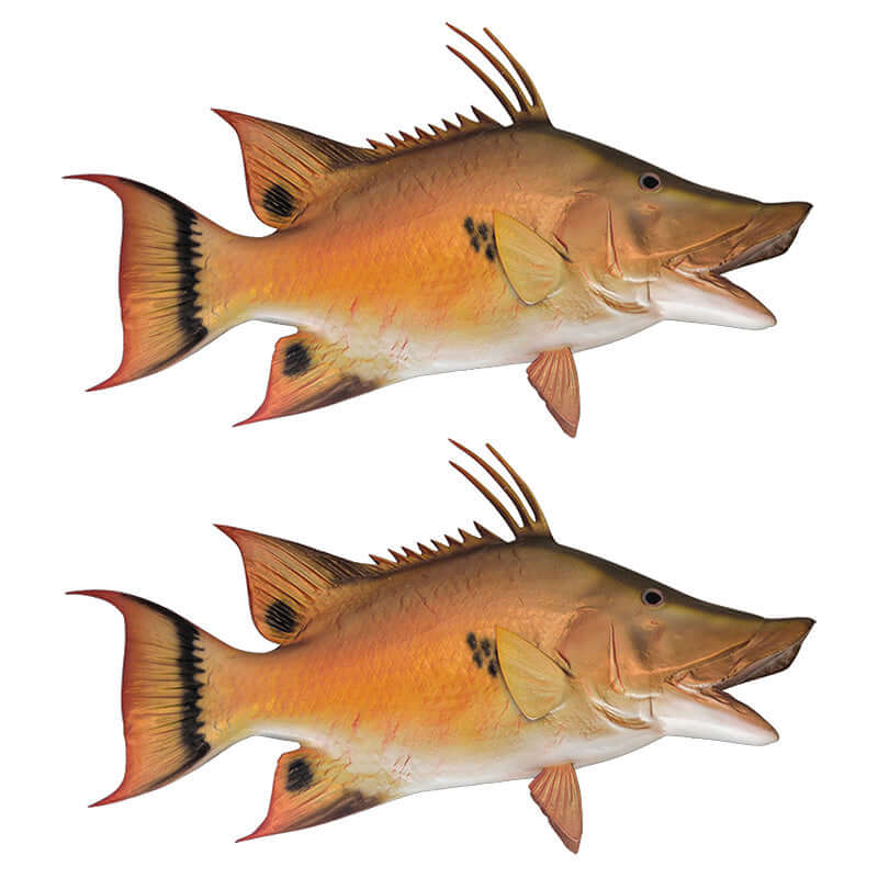 Hogfish wall decals, fully customizable 40"-70" with up to 10 text lines. Perfect for fish enthusiasts. Large fish wall decor.