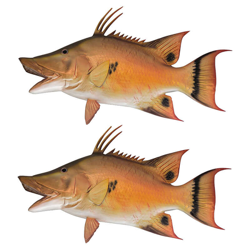 Left and right facing hogfish wall decals, customizable fish wall stickers for bedroom decor, removable and non-damaging.