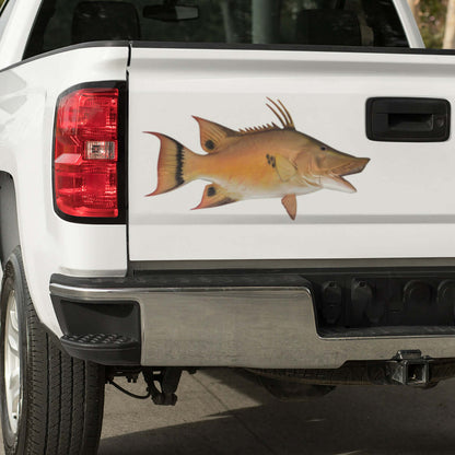 A large Hogfish decal on a pickup truck.