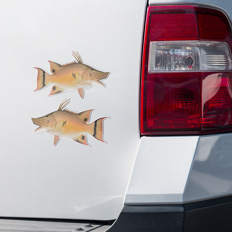 Hogfish stickers on a truck.