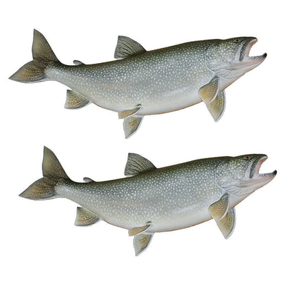 Lake Trout fish wall decals, fully customizable sizes 40"-70", add text options, perfect for fishing enthusiasts.