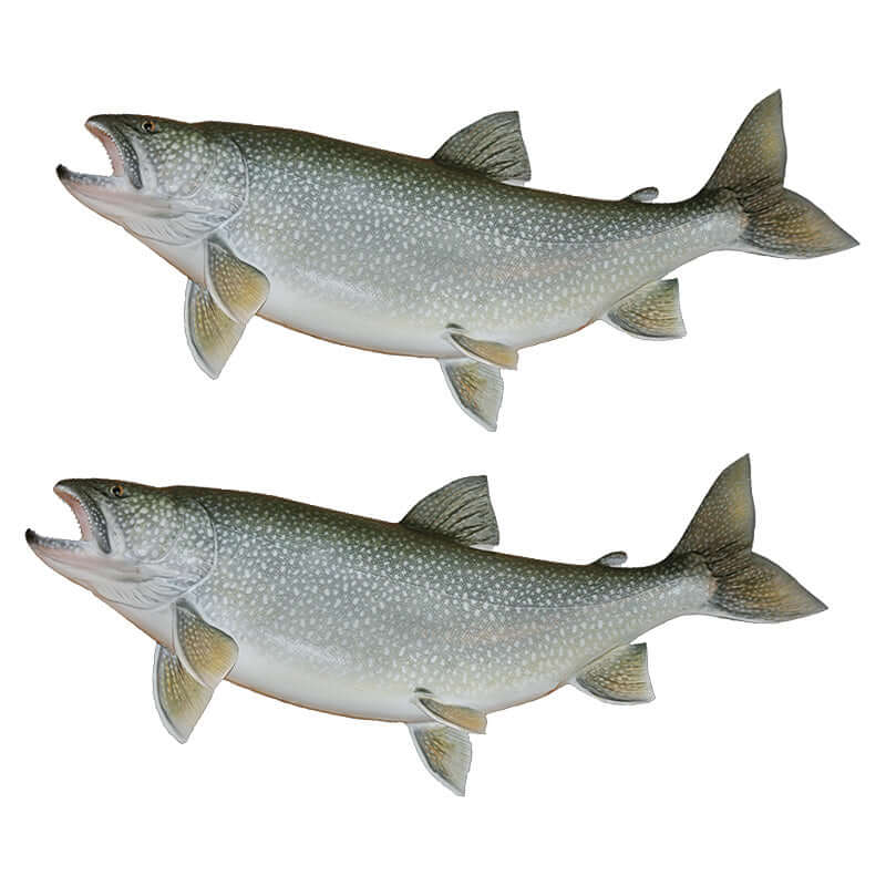 Customizable Lake Trout fish wall decals, 40"-70", removable and non-damaging, perfect for large fish wall decor or transfers.