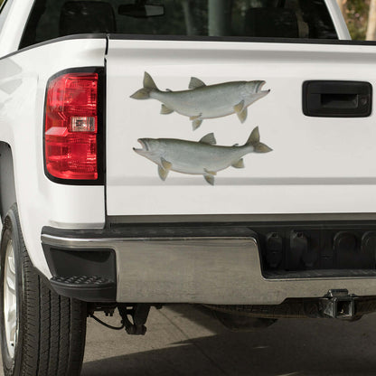 Lake Trout vinyl fish decals on truck tailgate, customizable size and text options, perfect fishing decals for cars and trucks.