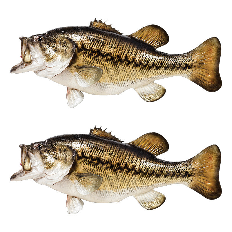 Largemouth Bass Decals | 16"-60"