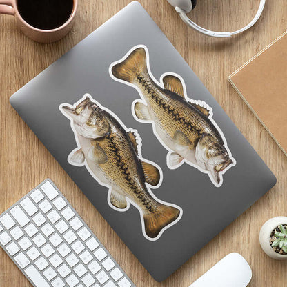 Largemouth Bass fish stickers on a laptop, high resolution and weather-resistant, perfect fishing stickers for various surfaces including cars, boats, and trucks.