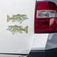 Largemouth Bass stickers on a truck.
