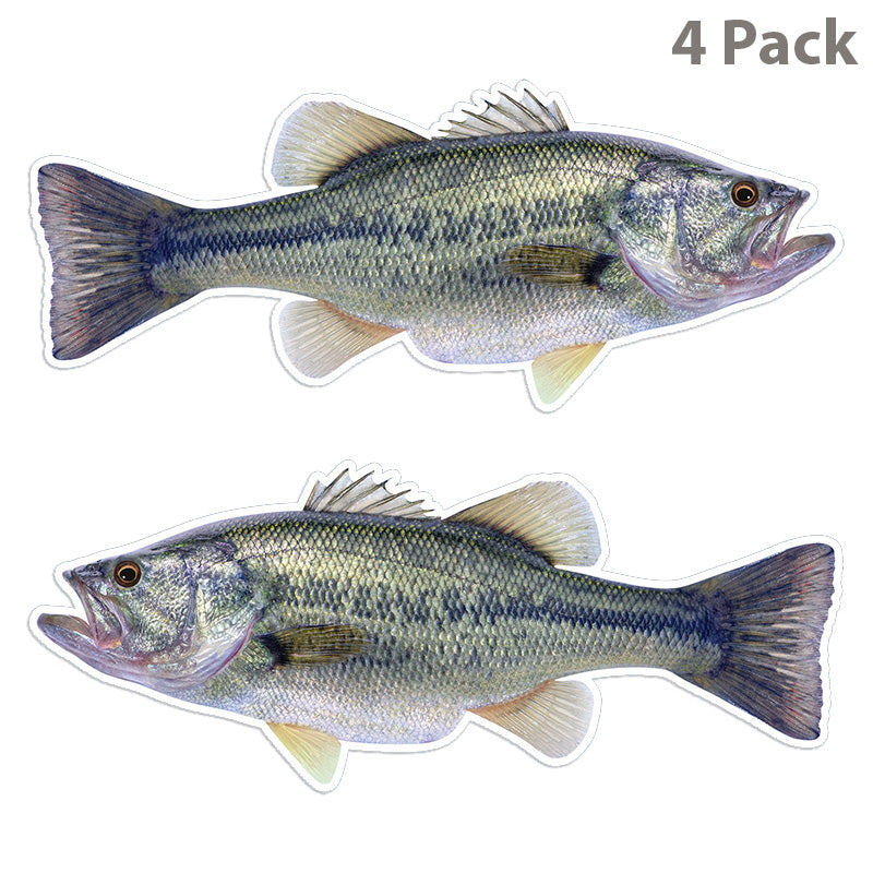 Largemouth Bass 14 inch 4 sticker pack.
