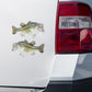 Largemouth Bass stickers on a truck.