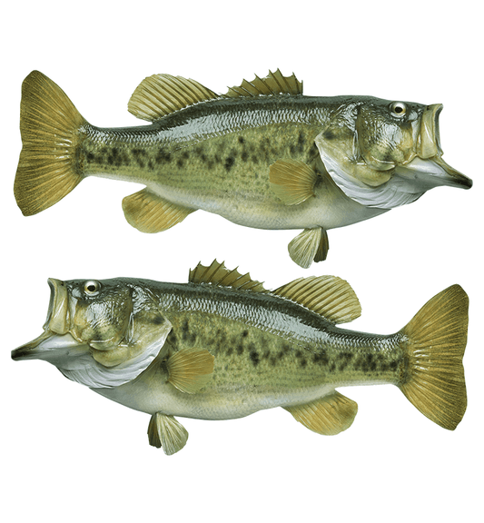 Largemouth Bass large decals left and right facing.