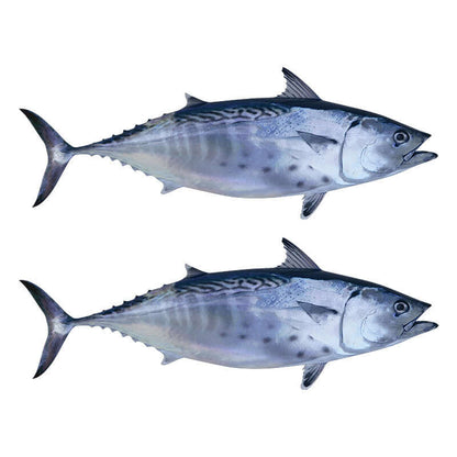 Little Tunny Tuna Decals