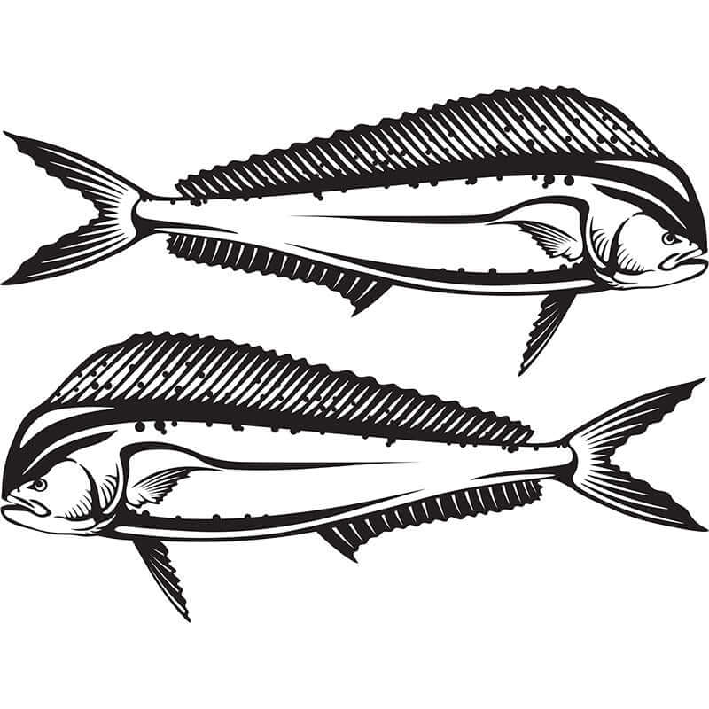 Mahi Mahi fish decals for boats, waterproof vinyl, black and white, perfect for cars, boats, and trucks.