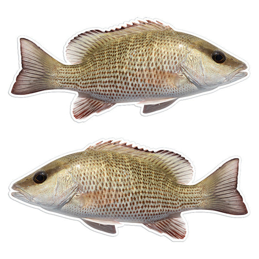 Mangrove Snapper 14 inch stickers left and right facing.