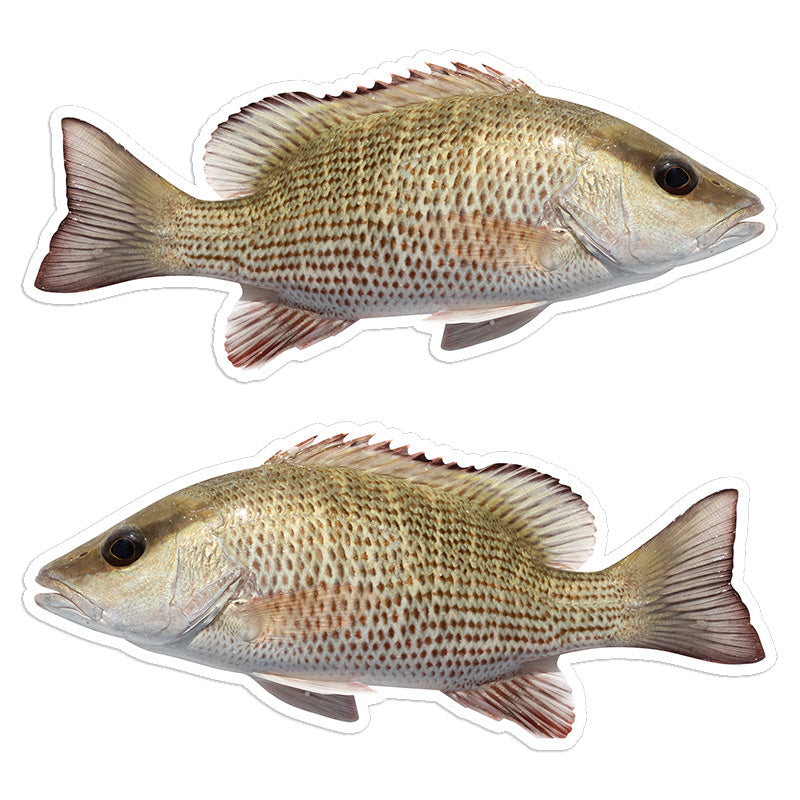 Mangrove Snapper 8 inch stickers left and right facing.