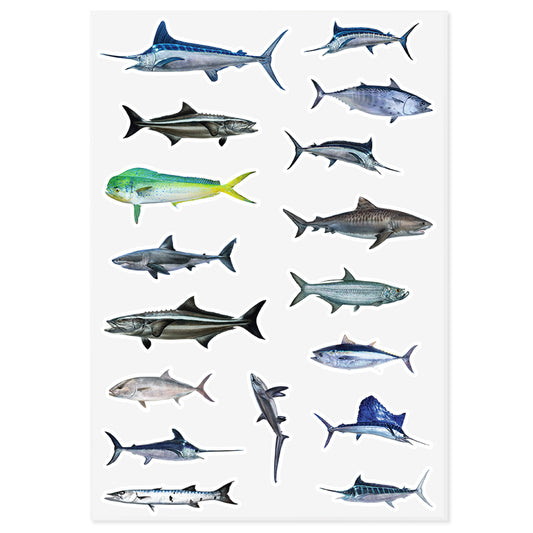 Bluewater, Gamefish | Sticker Sheet |  10"x14"
