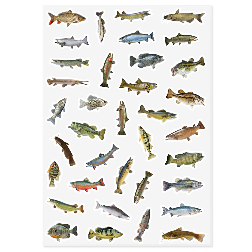 35 Sticker Mix | Freshwater Fish | Sticker Sheet | 10"x14"