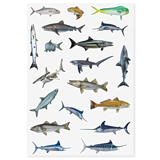 Saltwater Fish | Sticker Sheet | 10"x14"