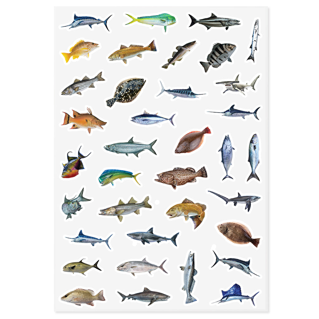 36 Sticker Mix | Saltwater Fish | Sticker Sheet | 10"x14"