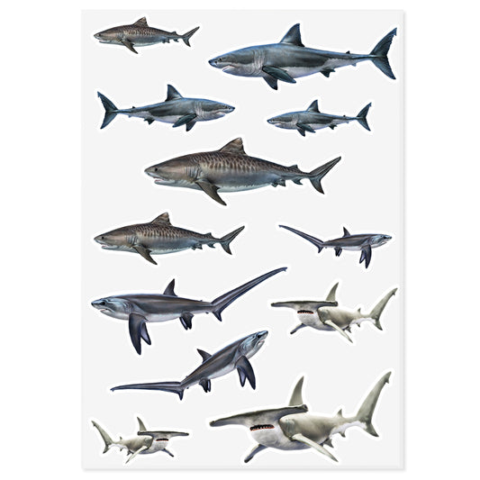 Sharks | Sticker Sheet | 10"x14"